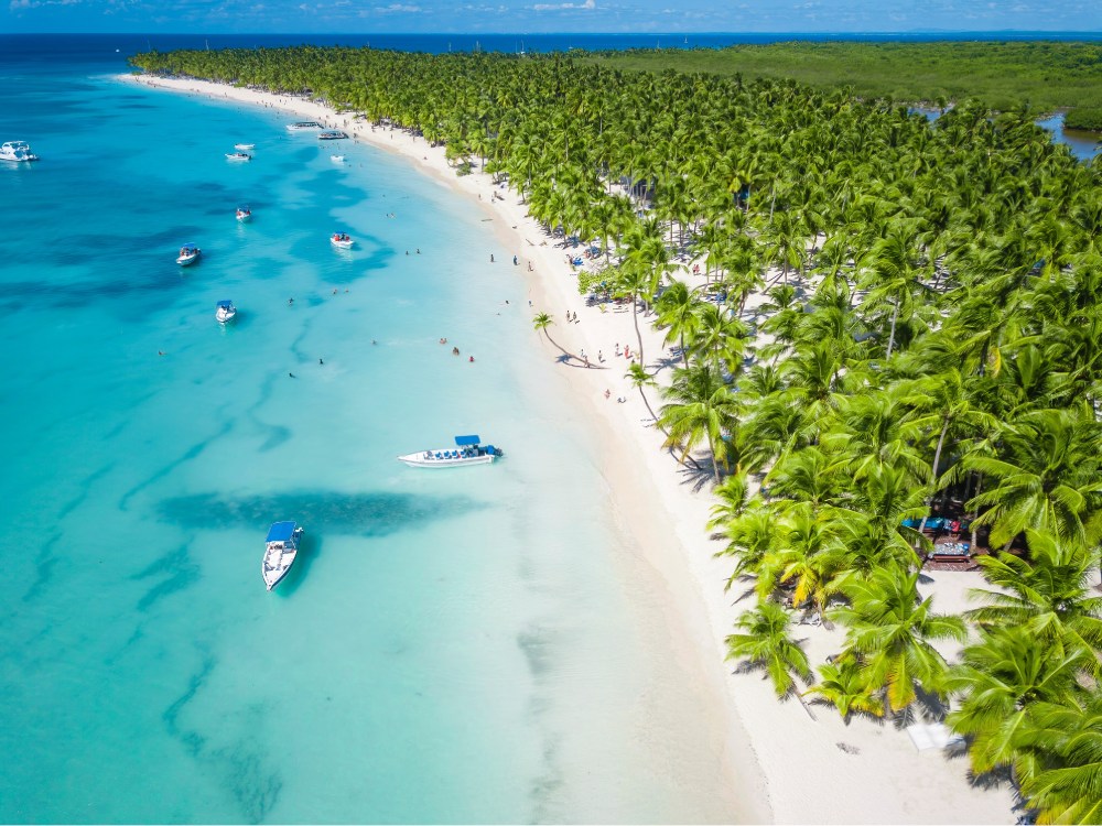 Clear Boat Isla Saona: what to expect from Punta Cana