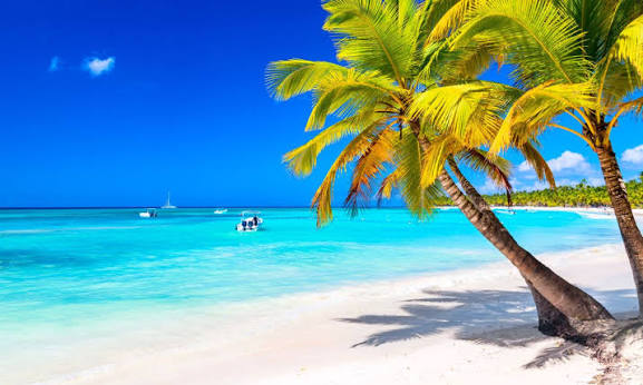 Aqualume Adventures: la nueva forma de vivir el Caribe dominicano