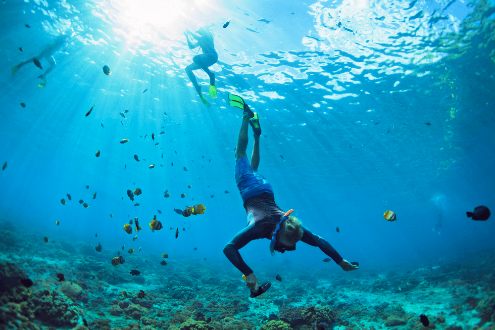 Is a Clear Boat Tour in Punta Cana Worth It? Everything You Need to Know