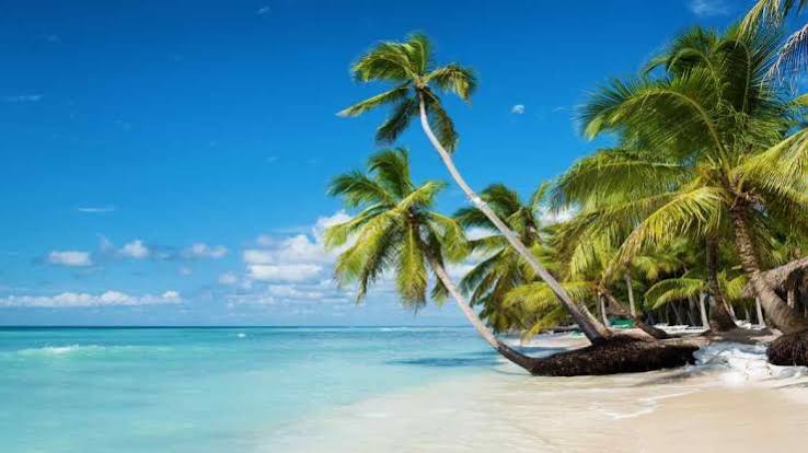 Saona Island: The Complete Guide to One of the Dominican Republic’s Most Beautiful Islands